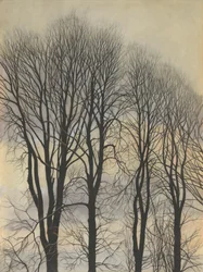Arbre dans le ciel