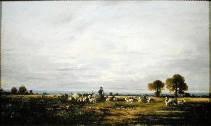 Bergère regardant son troupeau
