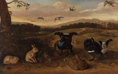 Gibier noir, lapins et hirondelles dans un parc