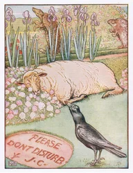 Et les moutons se sont endormis, illustration de 