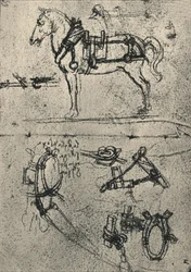 Un cheval de trait harnaché et études de harnais, vers 1480 1945