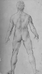 Un homme nu vu de dos, vers 1480