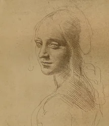 Une tête de femme, c1472-c1519