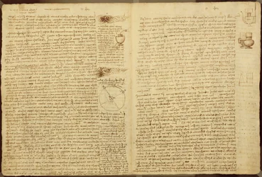 Une page du Codex Leicester, 1508-12