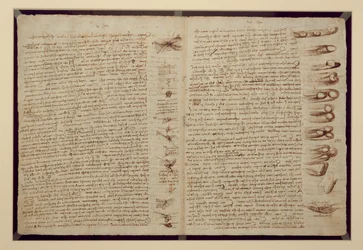 Une page du Codex Leicester, 1508-12