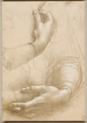 Bras et mains féminines