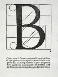 B, illustration de 