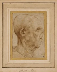 Caricature de la tête d