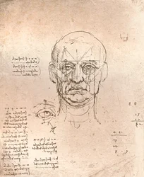 Dessin illustrant la théorie des proportions dans la figure humaine, vers 1472-1519, 1883