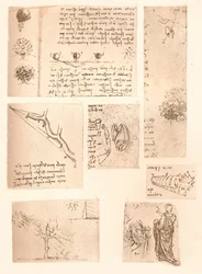 Cinq dessins illustrant les éléments de la peinture de paysage, vers 1472-1519, 1883
