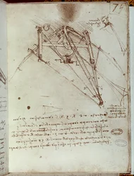 Dessin de machine volante. Manuscrit de Léonard de Vinci