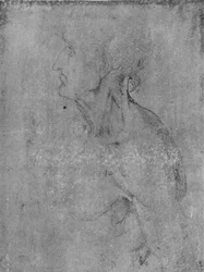 Tête et buste d