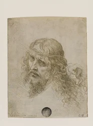 Tête du Christ couronné d
