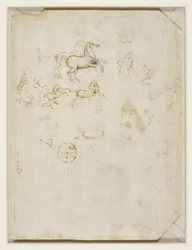 Léonard de Vinci - Verso Chevaux cabrés et tête de Néron v.1503-4