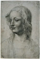 Maestro della Pala Sforzesca (élève milanais de Léonard de Vinci), tête de femme avec voile peut-être une étude pour la Vierge, GDSU 426 E