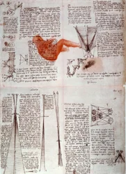 Notes sur la physiologie de la vision...