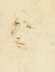 Portrait de Léonard de Vinci, vers 1518