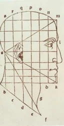 Étude de proportions de la tête humaine