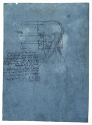 Étude de proportions d