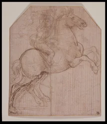 Cavalier sur un cheval cabré, vers 1481-82