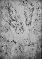 Études de chevaux et de têtes de chevaux, vers 1480, 1945