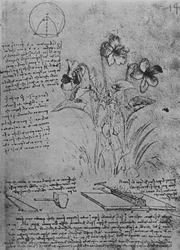 Études de violes et de méthodes de soudure des toits en plomb, vers 1480 1945