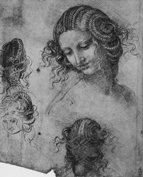 Études de tête et de coiffure de femme
