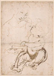 Étude pour la Madone avec un bol de fruits, vers 1478
