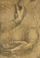 Étude de mains féminines, vers 1472-1519