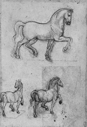 Trois études de chevaux, vers 1480 1945