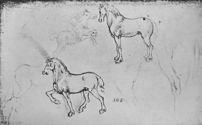 Deux études de chevaux, l