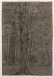 Arbres