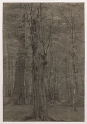 Arbres