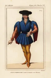 Jean VIII de Harcourt, chevalier français, Comte d