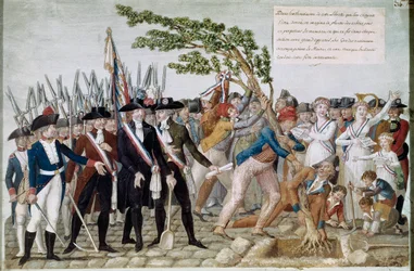Plantation de l