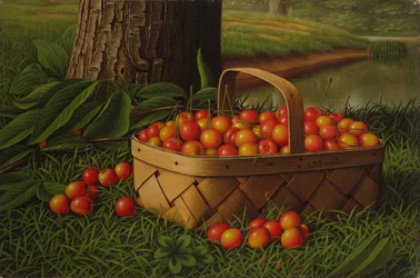Cerises dans un panier