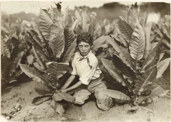 Cueilleur de dix ans à la ferme de tabac Gildersleeve
