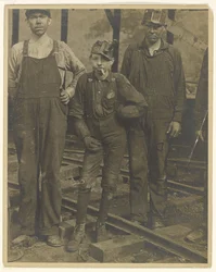 [Trois mineurs (S. Pittston, Pennsylvanie )]