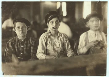Garçons fabriquant des cigares chez Englehardt und Co, Tampa, Floride, 1909