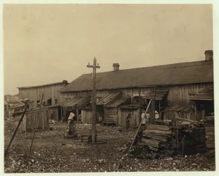 Logement pour environ 50 employés de Maggioni Canning Co., Port Royal, Caroline du Sud, entouré de marais et sur un ancien tas de coquillages, 1912