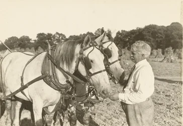 Sans titre, vers 1935