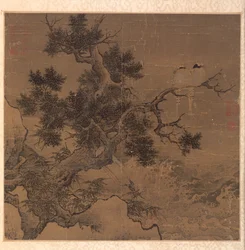 Oiseaux sur un arbre au-dessus d