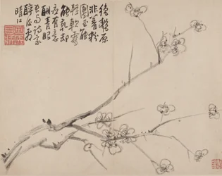 Album de prunier en fleurs, 1742