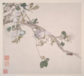 Insectes et fleurs, daté de 1865 (album de huit feuilles ; encre et couleur sur papier)