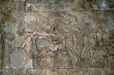 Bas-relief avec chariot, Nécropole de Tell el-Amarna, Égypte, civilisation égyptienne, Nouvel Empire, XVIIIe dynastie