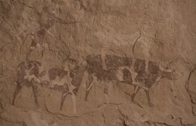 Bétail et figures humaines, peinture rupestre, Oued in Djeran, près de Djanet, Tassili n