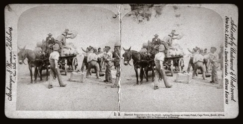 Guerre des Boers (Afrique du Sud)