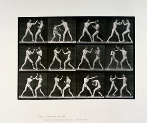 Athlètes masculins nus boxant, vers 1872-1885