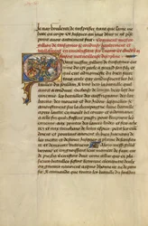 Q initiale : Gillion vainqueur du roi de Gibraltar
