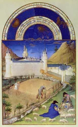Fac-similé de juillet : récolte et tonte des moutons, tiré des « Très Riches Heures du Duc de Berry »